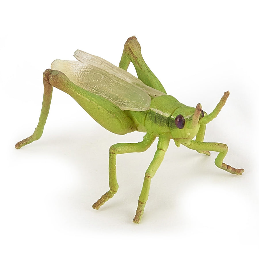 Figurine Sauterelle Papo en PVC, thème insectes, Collection Animaux des jardins, jouet éducatif idéal pour enfants et collectionneurs