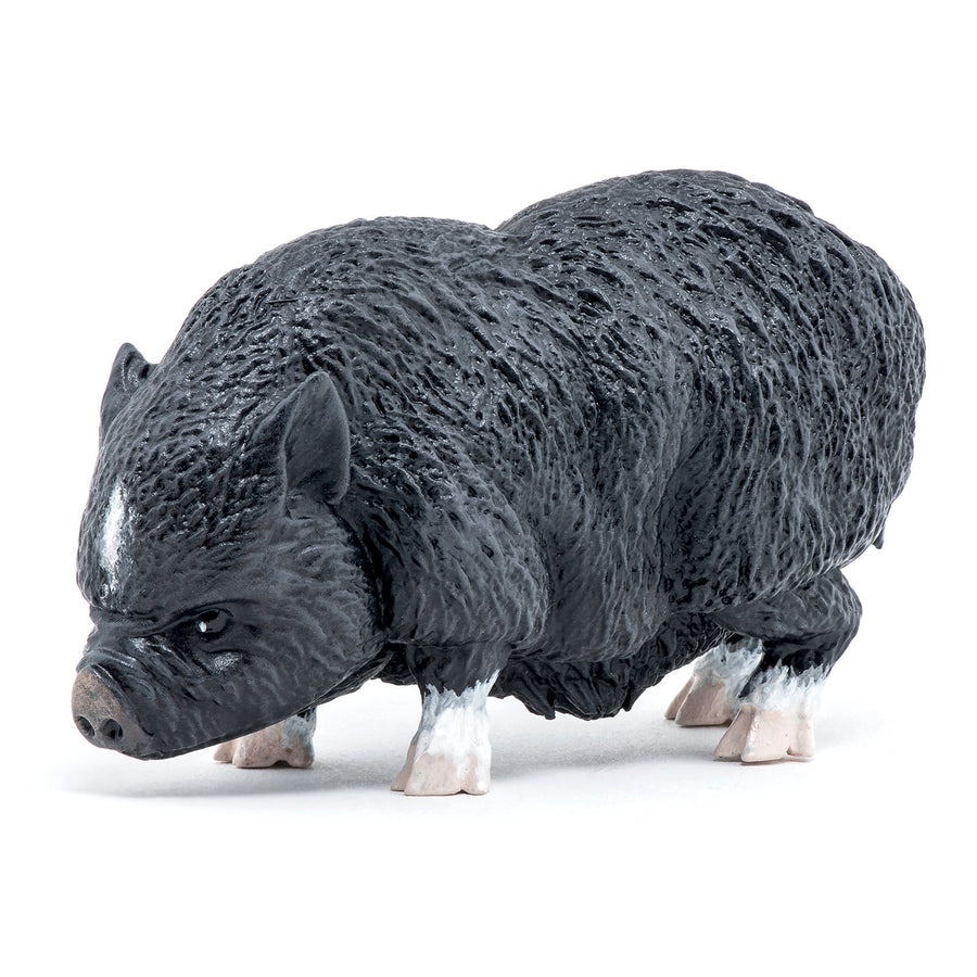 Cochon Vietnamien Papo en PVC, Collection Vie à la ferme, jouet éducatif idéal pour enfants et collectionneurs