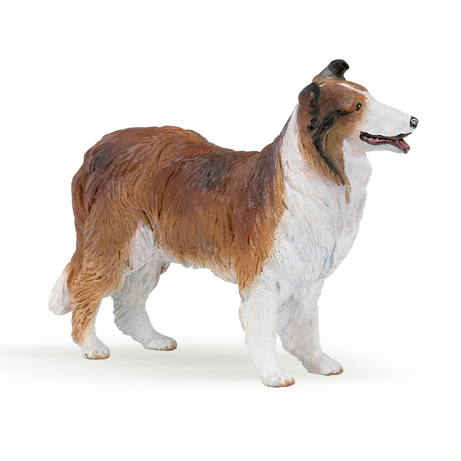 Figurine Colley Papo en PVC, Collection chiens et chats, jouet éducatif idéal pour enfants et collectionneurs