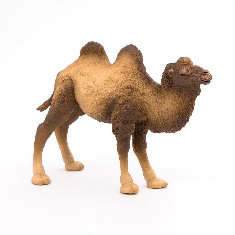 Chameau de Bactriane Papo en PVC, Collection Animaux sauvages, jouet éducatif idéal pour enfants et collectionneurs