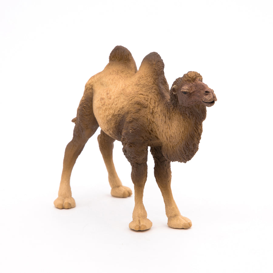 Chameau de Bactriane Papo en PVC, Collection Animaux sauvages, jouet éducatif idéal pour enfants et collectionneurs