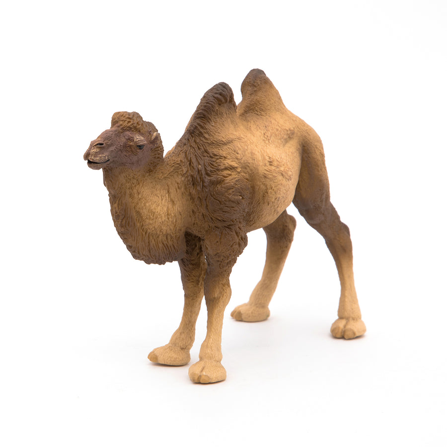 Chameau de Bactriane Papo en PVC, Collection Animaux sauvages, jouet éducatif idéal pour enfants et collectionneurs