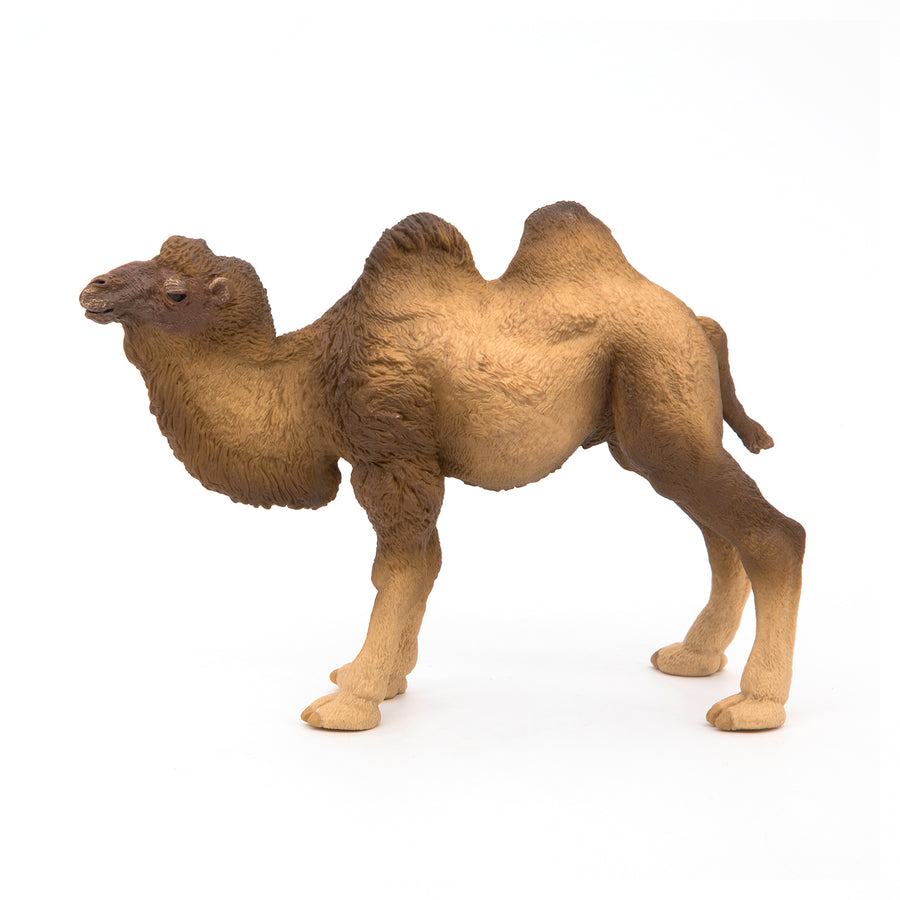 Chameau de Bactriane Papo en PVC, Collection Animaux sauvages, jouet éducatif idéal pour enfants et collectionneurs
