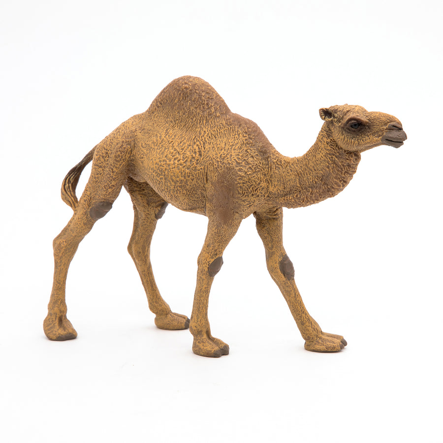 Dromadaire Papo en PVC, Collection Animaux sauvages, jouet éducatif idéal pour enfants et collectionneurs