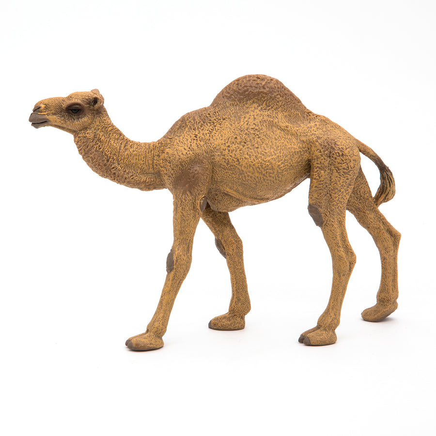 Dromadaire Papo en PVC, Collection Animaux sauvages, jouet éducatif idéal pour enfants et collectionneurs