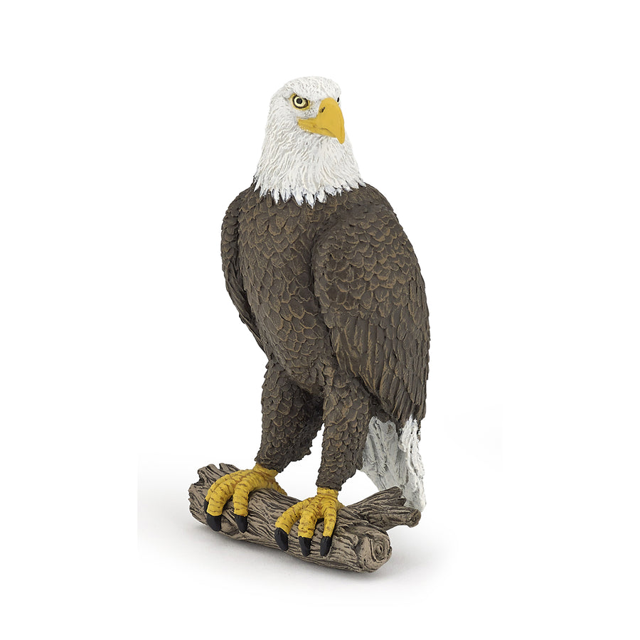 Figurine Pygargue à tête blanche Papo en PVC, thème oiseaux, Collection Animaux sauvages, jouet éducatif idéal pour enfants et collectionneurs