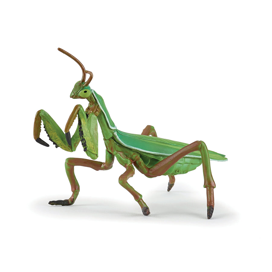 Figurine Mante religieuse Papo en PVC, thème insectes, Collection Animaux des jardins, jouet éducatif idéal pour enfants et collectionneurs