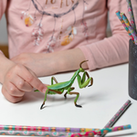 Figurine Mante religieuse Papo en PVC, thème insectes, Collection Animaux des jardins, jouet éducatif idéal pour enfants et collectionneurs