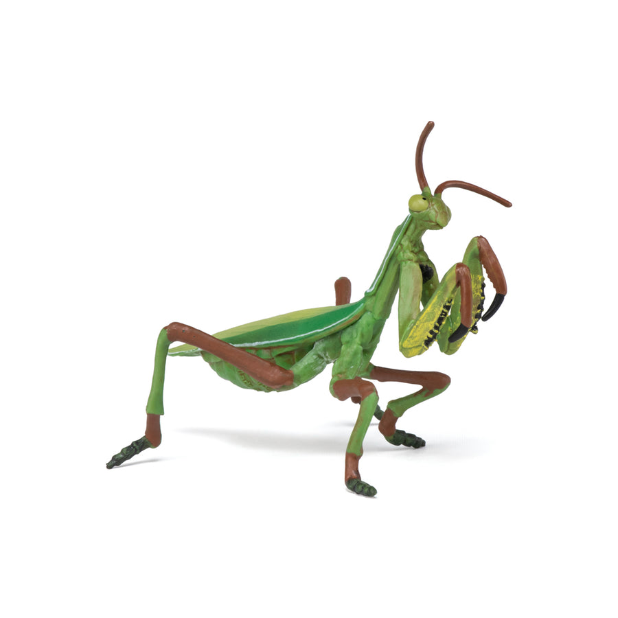 Figurine Mante religieuse Papo en PVC, thème insectes, Collection Animaux des jardins, jouet éducatif idéal pour enfants et collectionneurs