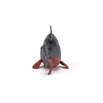 Piranha Papo en PVC, Collection Animaux sauvages, jouet éducatif idéal pour enfants et collectionneurs