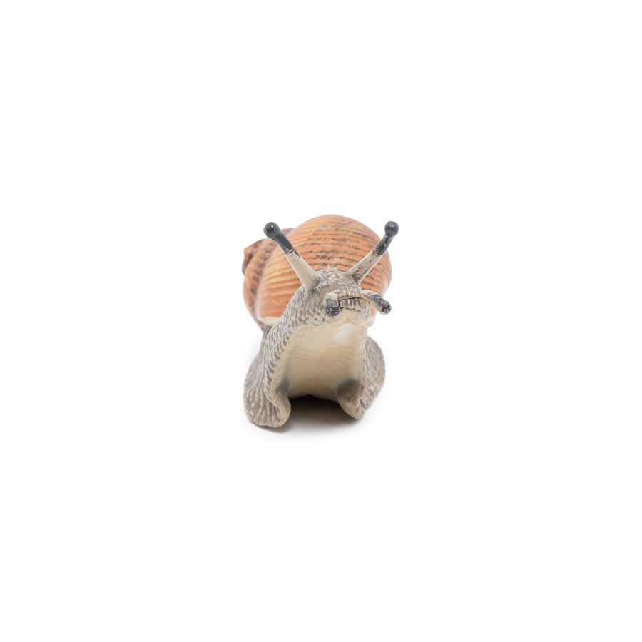 Escargot Papo en PVC, Collection Animaux des jardins, jouet éducatif idéal pour enfants et collectionneurs
