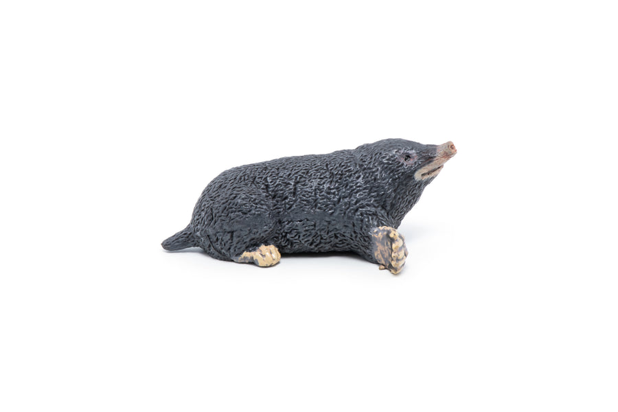 Taupe Papo en PVC, Collection Animaux des jardins, jouet éducatif idéal pour enfants et collectionneurs