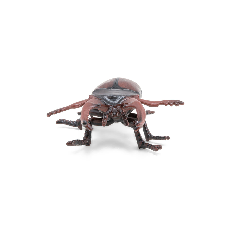 Figurine Lucane Papo en PVC, thème insectes, Collection Animaux des jardins, jouet éducatif idéal pour enfants et collectionneurs
