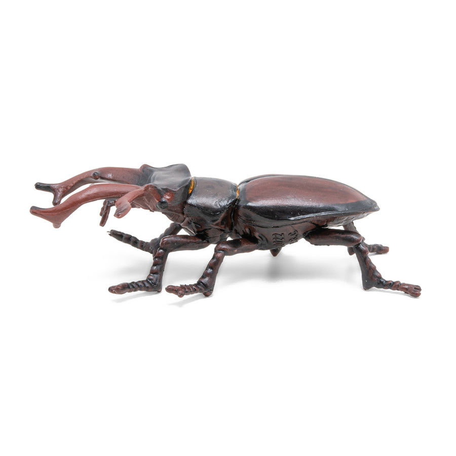 Figurine Lucane Papo en PVC, thème insectes, Collection Animaux des jardins, jouet éducatif idéal pour enfants et collectionneurs