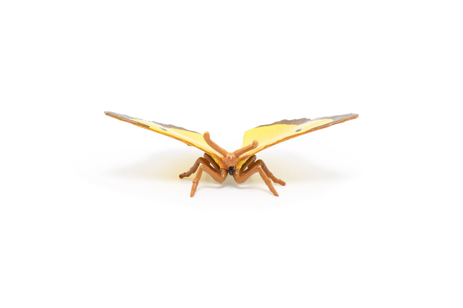 Figurine Papillon Souci Papo en PVC, thème insectes, Collection Animaux des jardins, jouet éducatif idéal pour enfants et collectionneurs