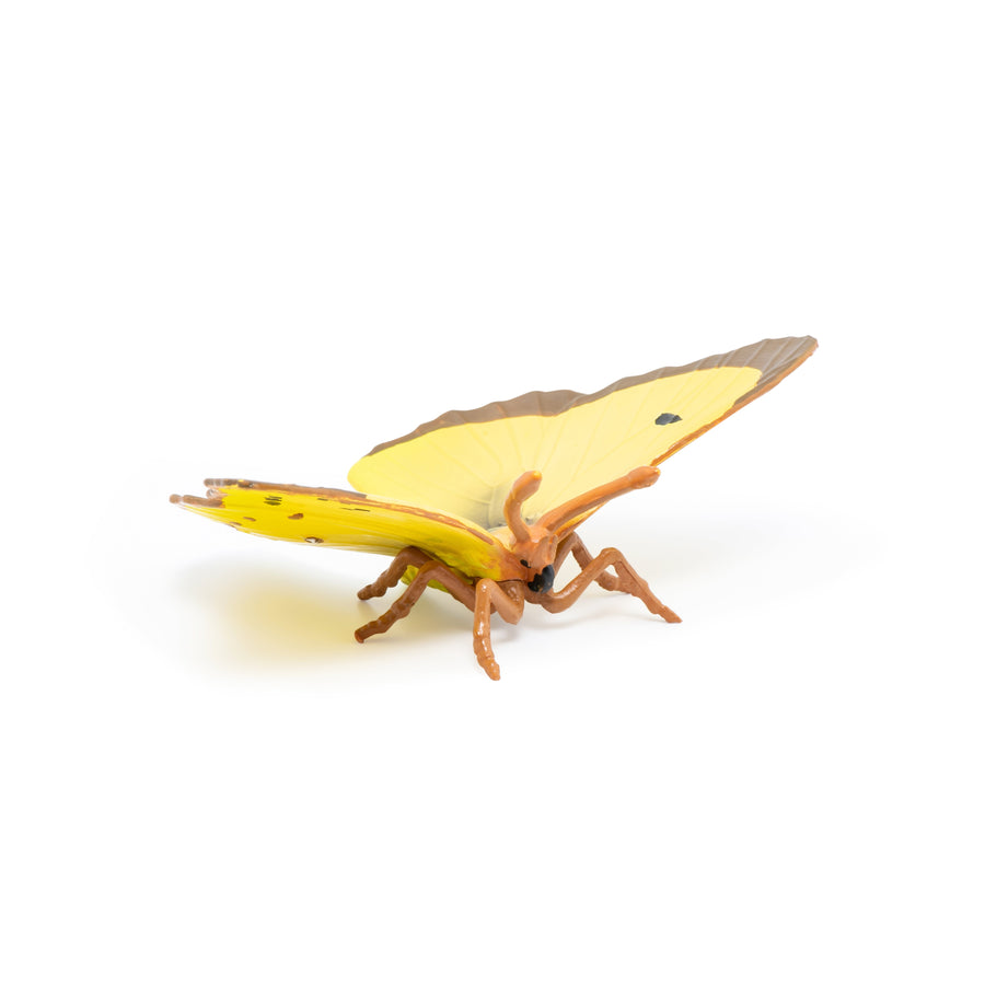 Figurine Papillon Souci Papo en PVC, thème insectes, Collection Animaux des jardins, jouet éducatif idéal pour enfants et collectionneurs