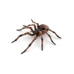 Araignée commune Papo en PVC, Collection Animaux des jardins, jouet éducatif idéal pour enfants et collectionneurs