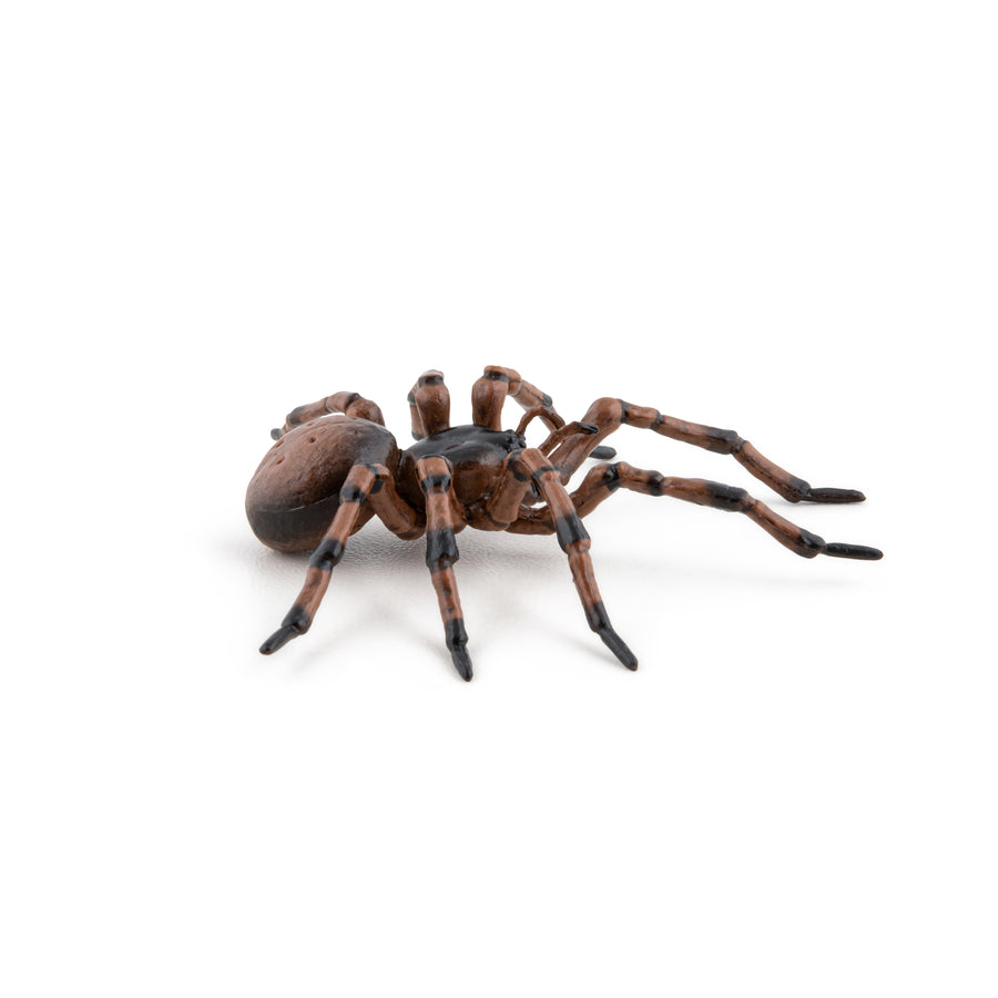 Araignée commune Papo en PVC, Collection Animaux des jardins, jouet éducatif idéal pour enfants et collectionneurs