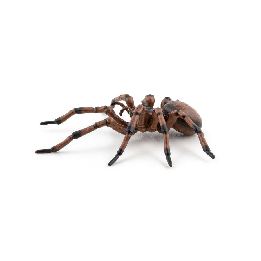 Araignée commune Papo en PVC, Collection Animaux des jardins, jouet éducatif idéal pour enfants et collectionneurs
