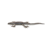 Lézard commun Papo en PVC, Collection Animaux des jardins, jouet éducatif idéal pour enfants et collectionneurs