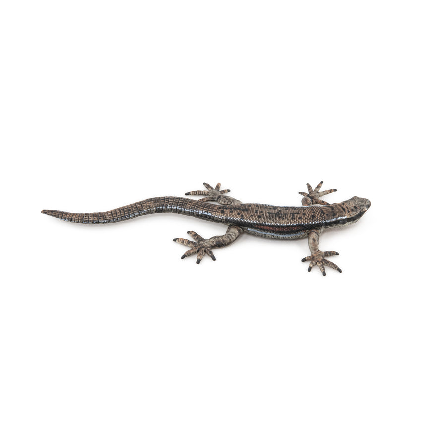 Lézard commun Papo en PVC, Collection Animaux des jardins, jouet éducatif idéal pour enfants et collectionneurs