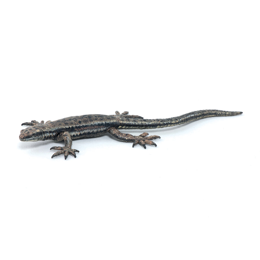 Lézard commun Papo en PVC, Collection Animaux des jardins, jouet éducatif idéal pour enfants et collectionneurs