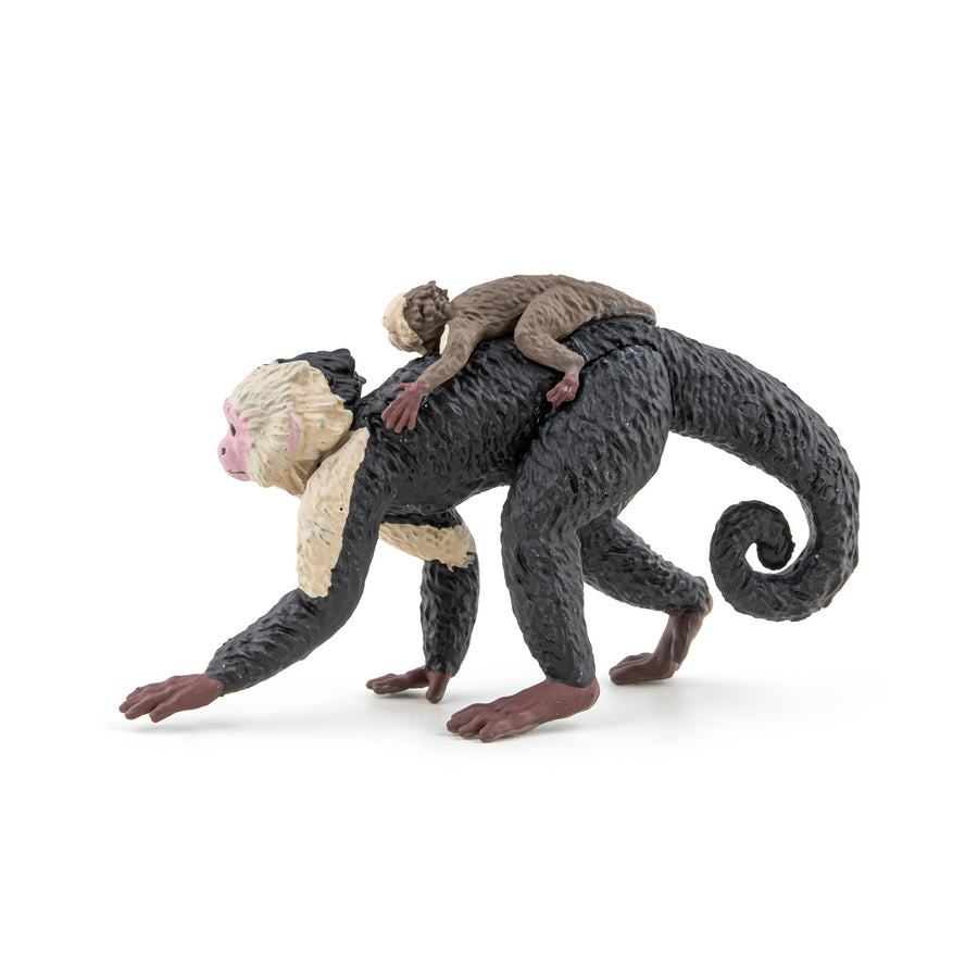 Capucin Papo en PVC, Collection Animaux sauvages, jouet éducatif idéal pour enfants et collectionneurs
