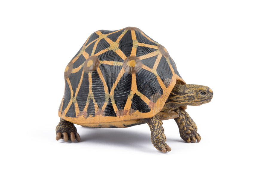 Figurine Tortue étoilee