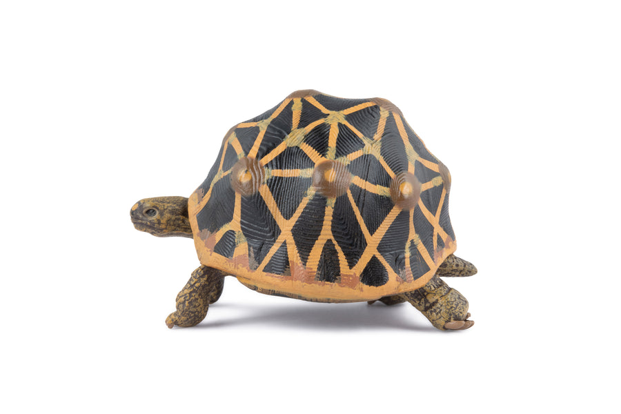 Figurine Tortue étoilee