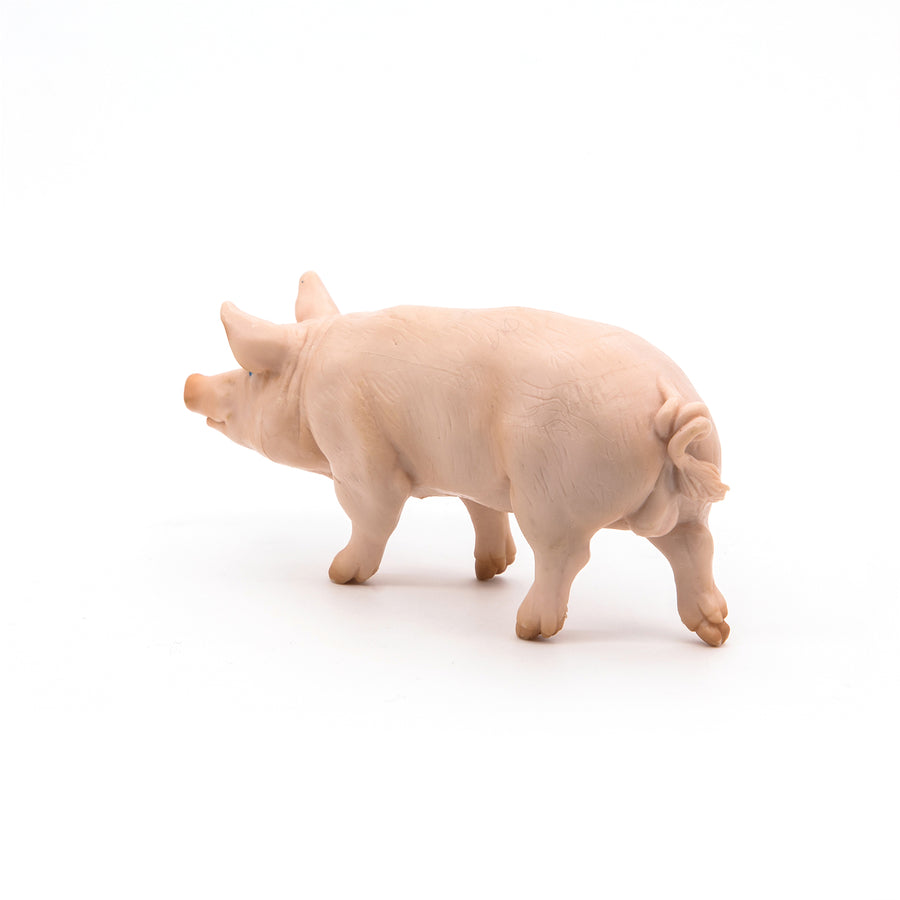 Verrat Papo en PVC, Collection Vie à la ferme, jouet éducatif idéal pour enfants et collectionneurs