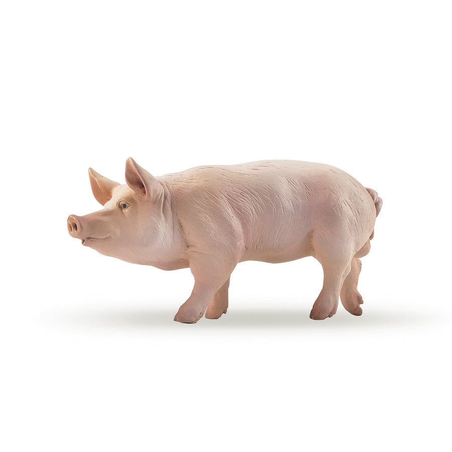 Verrat Papo en PVC, Collection Vie à la ferme, jouet éducatif idéal pour enfants et collectionneurs