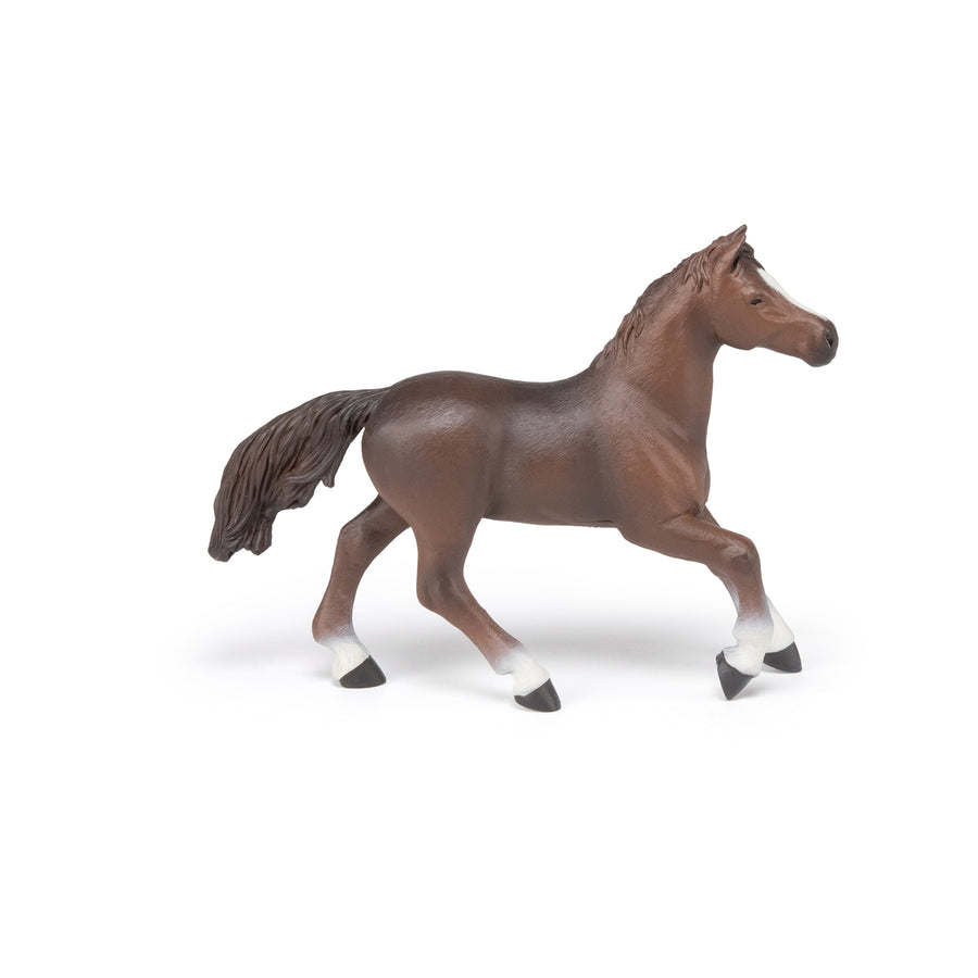 Jument anglo-arabe Papo en PVC, Collection chevaux, jouet éducatif idéal pour enfants et collectionneurs