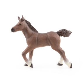 Poulain anglo-arabe Papo en PVC, Collection chevaux, jouet éducatif idéal pour enfants et collectionneurs