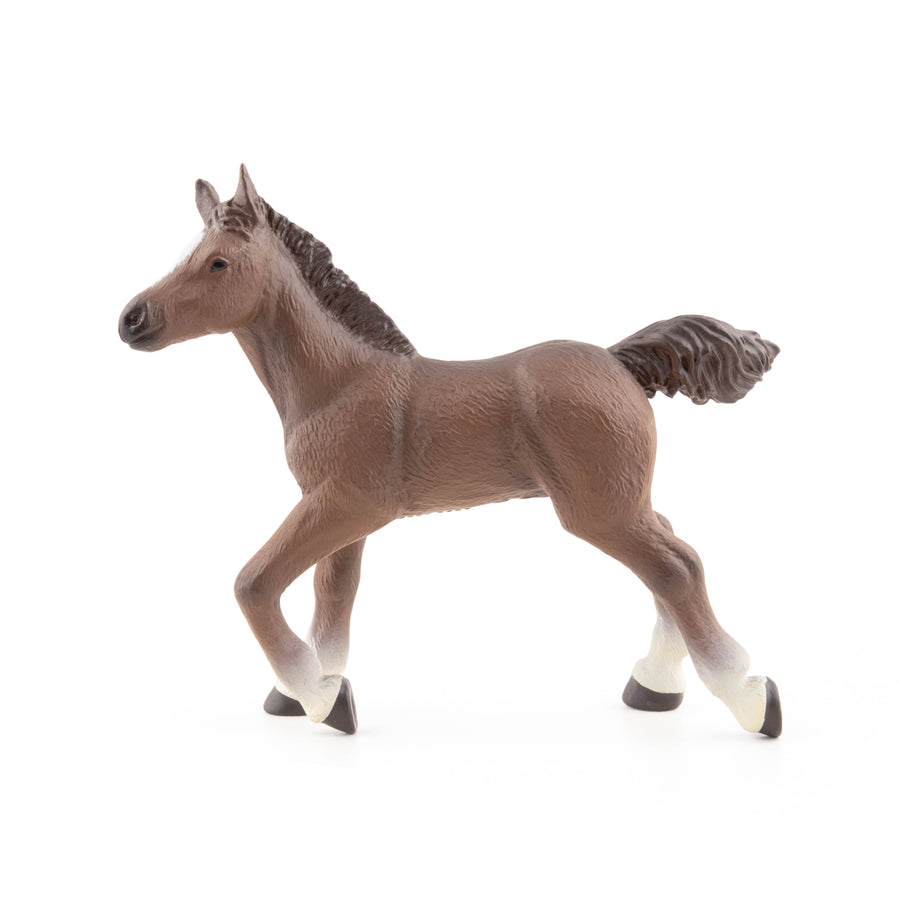 Poulain anglo-arabe Papo en PVC, Collection chevaux, jouet éducatif idéal pour enfants et collectionneurs