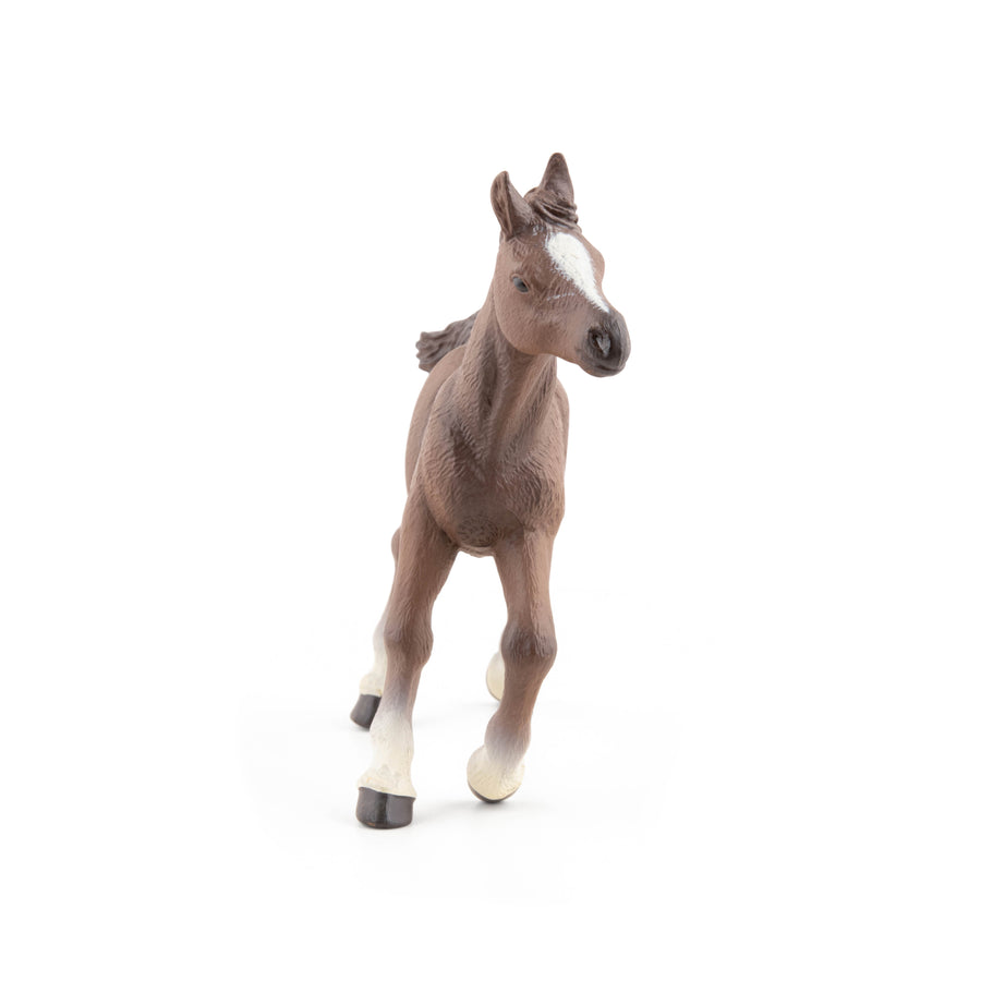 Poulain anglo-arabe Papo en PVC, Collection chevaux, jouet éducatif idéal pour enfants et collectionneurs