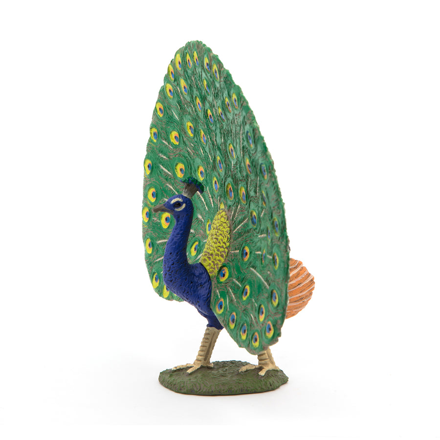 Figurine Paon Papo en PVC, thème basse-cour, Collection Vie à la ferme, jouet éducatif idéal pour enfants et collectionneurs