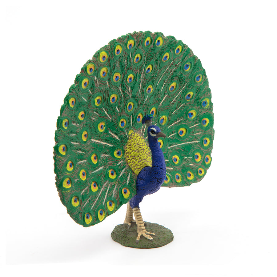 Figurine Paon Papo en PVC, thème basse-cour, Collection Vie à la ferme, jouet éducatif idéal pour enfants et collectionneurs
