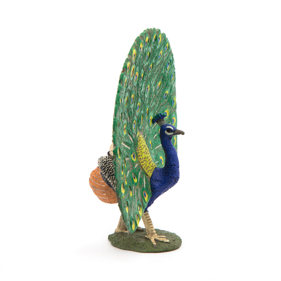 Figurine Paon Papo en PVC, thème basse-cour, Collection Vie à la ferme, jouet éducatif idéal pour enfants et collectionneurs