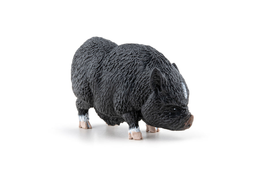 Cochon Vietnamien Papo en PVC, Collection Vie à la ferme, jouet éducatif idéal pour enfants et collectionneurs