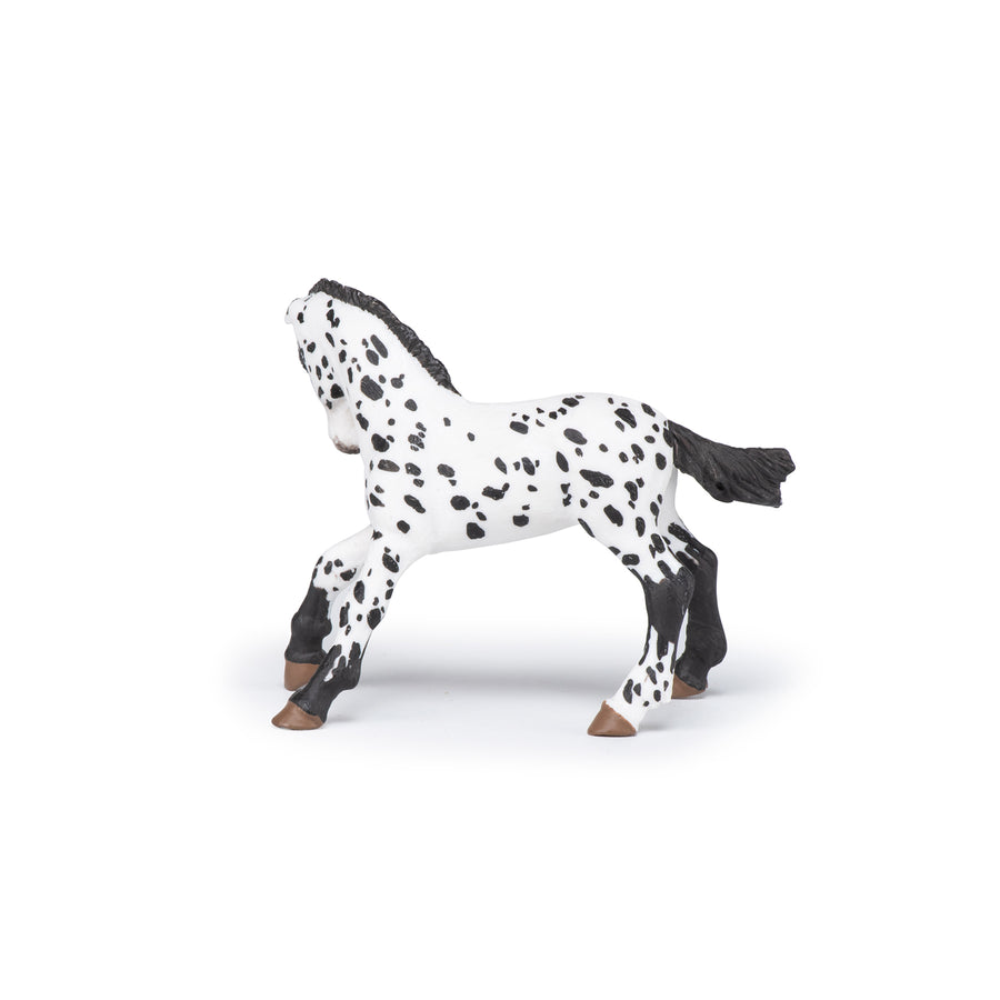 Poulain appaloosa noir Papo en PVC, Collection chevaux, jouet éducatif idéal pour enfants et collectionneurs