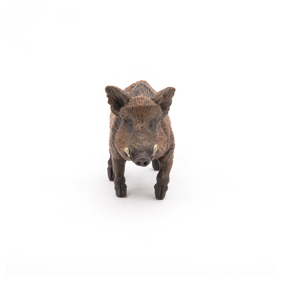 Figurine Sanglier Papo en PVC, thème forêt, Collection Animaux sauvages, jouet éducatif idéal pour enfants et collectionneurs
