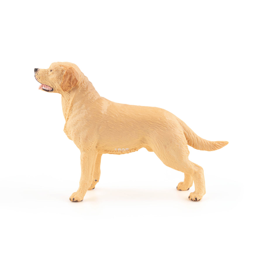 Figurine Labrador Papo en PVC, Collection chiens et chats, jouet éducatif idéal pour enfants et collectionneurs