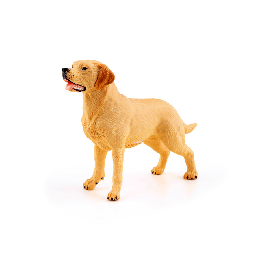 Figurine Labrador Papo en PVC, Collection chiens et chats, jouet éducatif idéal pour enfants et collectionneurs