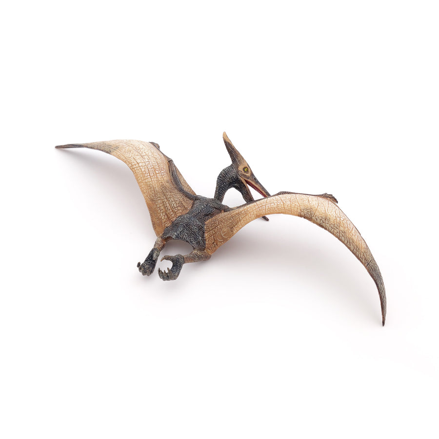 Ptéranodon Papo en PVC, Collection Dinosaures, jouet éducatif idéal pour enfants et collectionneurs