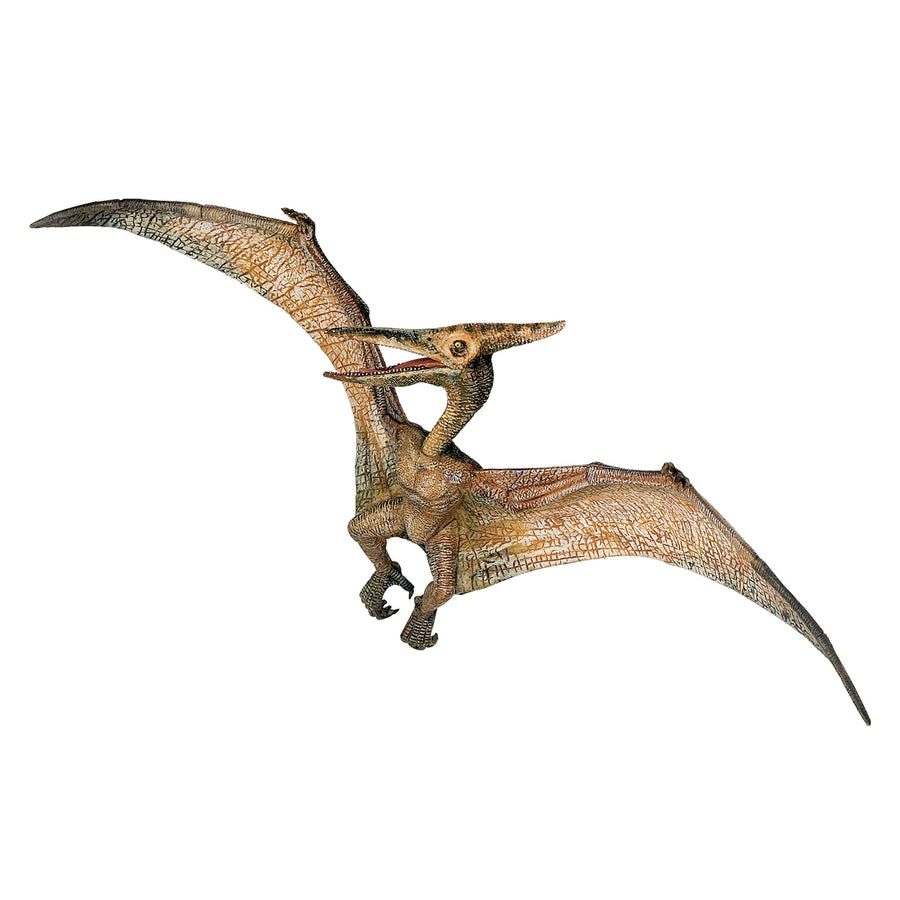 Ptéranodon Papo en PVC, Collection Dinosaures, jouet éducatif idéal pour enfants et collectionneurs
