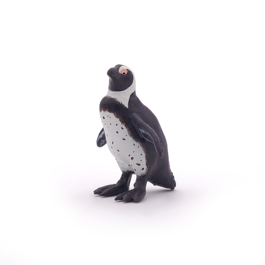 Manchot du Cap Papo en PVC, Collection animaux marins, jouet éducatif idéal pour enfants et collectionneurs