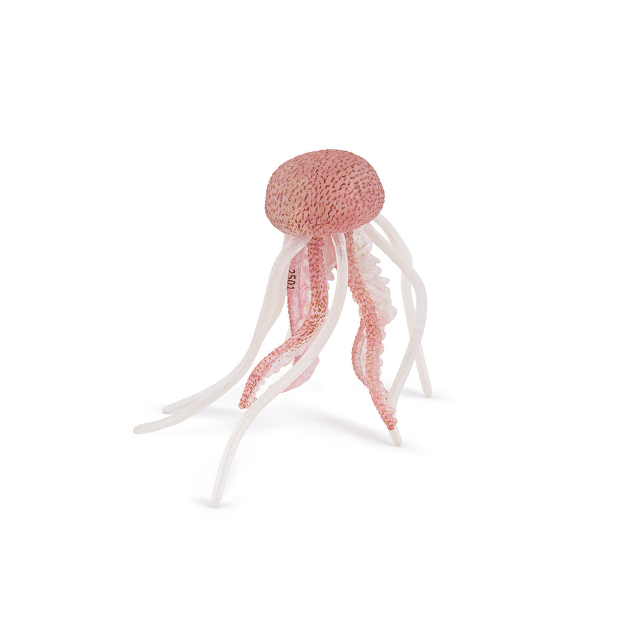 Méduse Papo en PVC, Collection animaux marins, jouet éducatif idéal pour enfants et collectionneurs