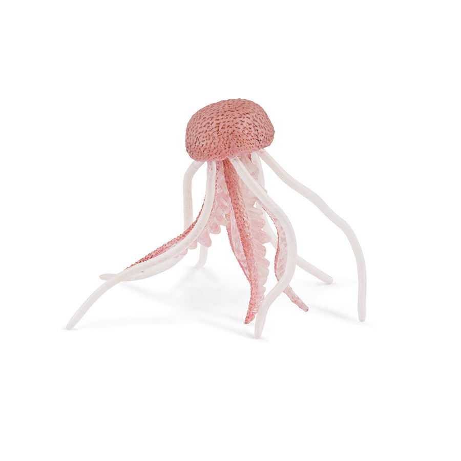 Méduse Papo en PVC, Collection animaux marins, jouet éducatif idéal pour enfants et collectionneurs
