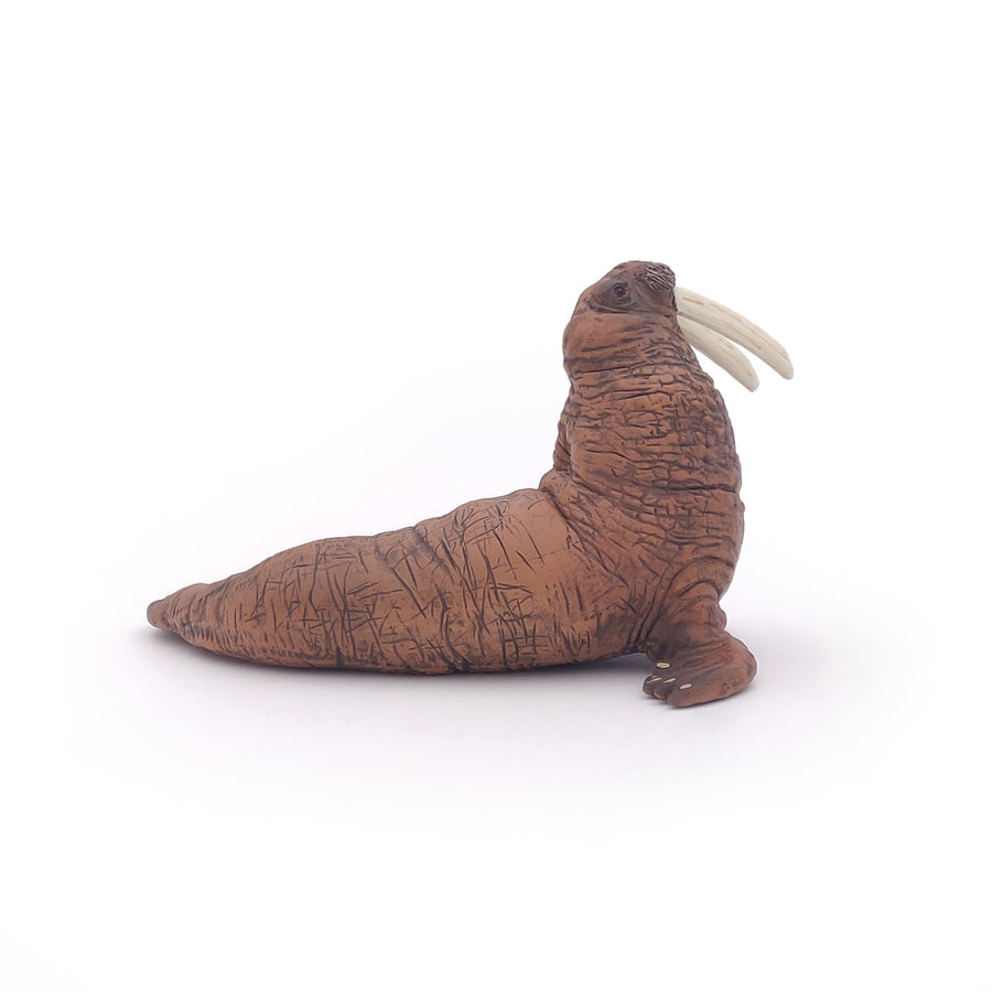 Figurine Morse Papo en PVC, Collection animaux marins, jouet éducatif idéal pour enfants et collectionneurs