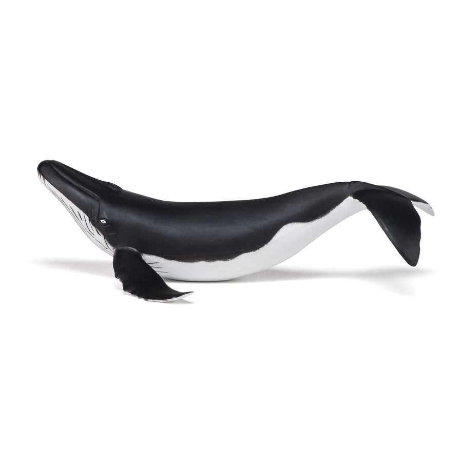 Baleineau Papo en PVC, Collection animaux marins, jouet éducatif idéal pour enfants et collectionneurs